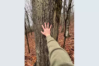 Off Alarka Road, Bryson City, NC 28713 - Photo 27