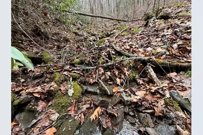 Off Alarka Road, Bryson City, NC 28713 - Photo 33