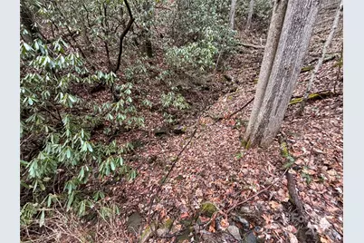 Off Alarka Road, Bryson City, NC 28713 - Photo 31