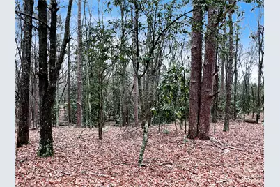 1777 Overbrook Road, Kershaw, SC 29067 - Photo 9