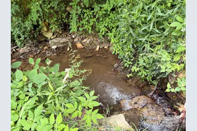 1201 Simms Fork Road, Burnsville, NC 28714 - Photo 15