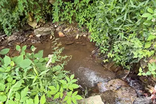 1201 Simms Fork Rd, Burnsville, NC 28714 - Photo 15