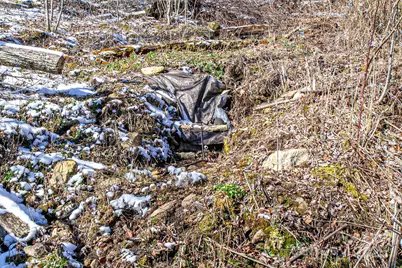 1201 Simms Fork Road, Burnsville, NC 28714 - Photo 25