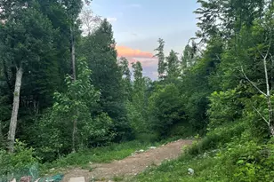 1201 Simms Fork Rd, Burnsville, NC 28714 - Photo 3