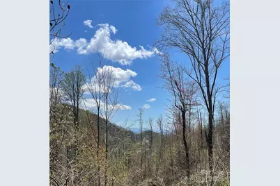 1201 Simms Fork Road, Burnsville, NC 28714 - Photo 17