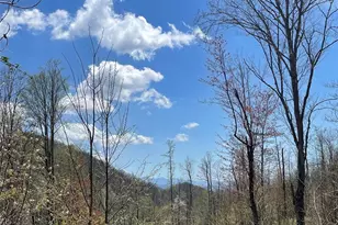 1201 Simms Fork Rd, Burnsville, NC 28714 - Photo 17