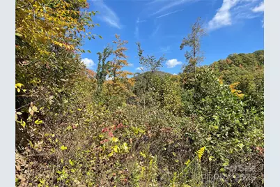 1201 Simms Fork Road, Burnsville, NC 28714 - Photo 9