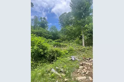 1201 Simms Fork Road, Burnsville, NC 28714 - Photo 7