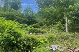 1201 Simms Fork Rd, Burnsville, NC 28714 - Photo 7