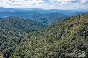 1201 Simms Fork Rd, Burnsville, NC 28714 - Photo 5