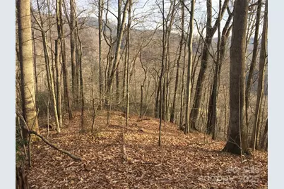 00 Triple Creek Drive, Clyde, NC 28721 - Photo 25