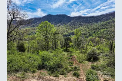 1567 Newfound Road, Leicester, NC 28748 - Photo 9