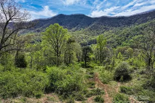 1567 Newfound Rd, Leicester, NC 28748 - Photo 9