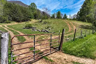 1567 Newfound Rd, Leicester, NC 28748 - Photo 11