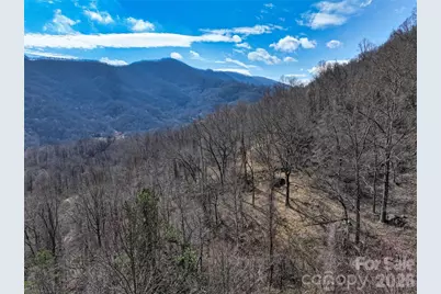 1567 Newfound Road, Leicester, NC 28748 - Photo 41