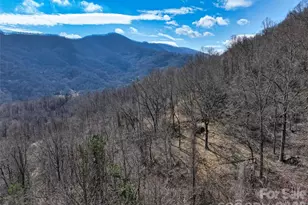 1567 Newfound Rd, Leicester, NC 28748 - Photo 41