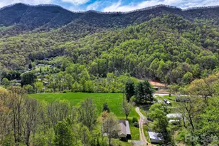 1567 Newfound Rd, Leicester, NC 28748 - Photo 43