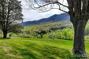 1567 Newfound Rd, Leicester, NC 28748 - Photo 35