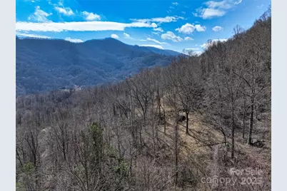 1567 Newfound Road, Leicester, NC 28748 - Photo 41