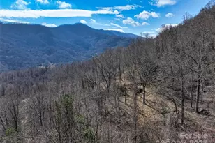 1567 Newfound Rd, Leicester, NC 28748 - Photo 41