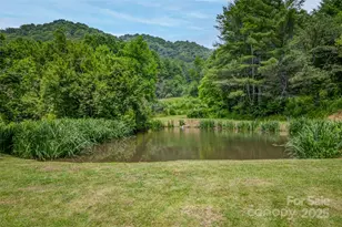 8749 Nc 63 Hwy, Leicester, NC 28748 - Photo 5