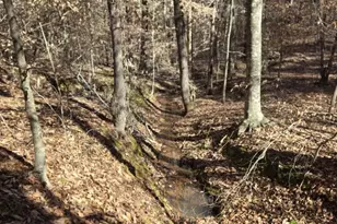 109 Nc Hwy 109 Hwy N, Wadesboro, NC 28170 - Photo 13