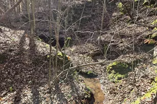 109 Nc Hwy 109 Hwy N, Wadesboro, NC 28170 - Photo 11