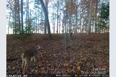 7210 Mission Road, Mount Pleasant, NC 28124 - Photo 13