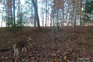 7210 Mission Rd, Mount Pleasant, NC 28124 - Photo 13