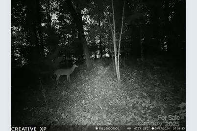 7210 Mission Road, Mount Pleasant, NC 28124 - Photo 11