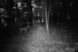 7210 Mission Rd, Mount Pleasant, NC 28124 - Photo 11