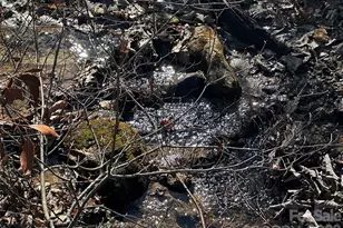 3161 Morganton Furniture Rd, Valdese, NC 28690 - Photo 39