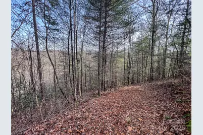 0000 Stepp Ridge Court, Hendersonville, NC 28792 - Photo 5