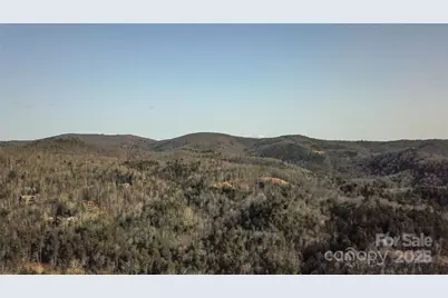 0000 Stepp Ridge Court, Hendersonville, NC 28792 - Photo 23