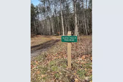 0000 Stepp Ridge Court, Hendersonville, NC 28792 - Photo 21