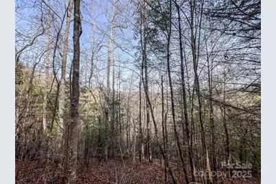 0000 Stepp Ridge Court, Hendersonville, NC 28792 - Photo 7