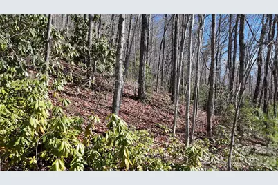Lot 11 Bernies Trail, Waynesville, NC 28785 - Photo 23