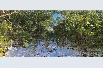 Lot 11 Bernies Trail, Waynesville, NC 28785 - Photo 9