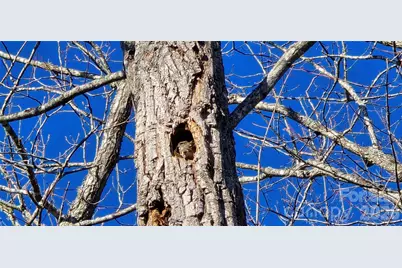 Lot 11 Bernies Trail, Waynesville, NC 28785 - Photo 17