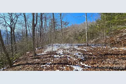 Lot 11 Bernies Trail, Waynesville, NC 28785 - Photo 13