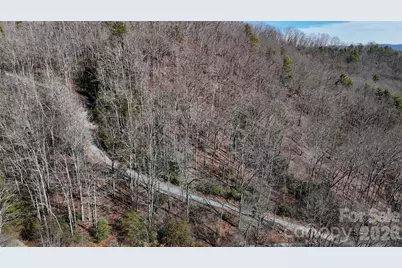 Lot 11 Bernies Trail, Waynesville, NC 28785 - Photo 19