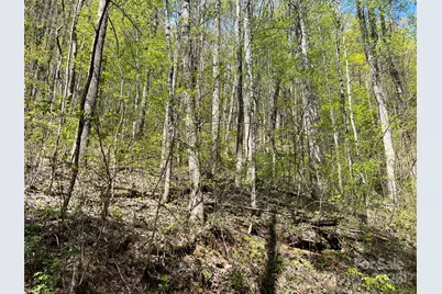 00 Hidden Trail, Franklin, NC 28734 - Photo 7