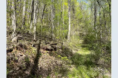 00 Hidden Trail, Franklin, NC 28734 - Photo 5