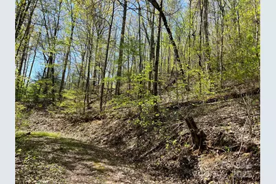 00 Hidden Trail, Franklin, NC 28734 - Photo 9