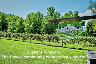 1895 Cypress Trl, Lenoir, NC 28645 - Photo 43