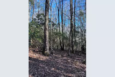 L26 Konnaneeta Trail #U03 L026, Brevard, NC 28712 - Photo 5