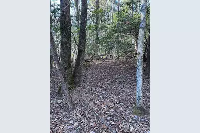 L26 Konnaneeta Trail #U03 L026, Brevard, NC 28712 - Photo 7