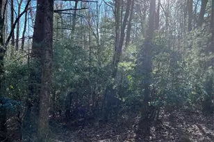 L26 Konnaneeta Trail, Brevard, NC 28712 - Photo 1