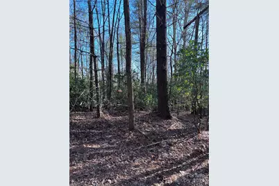 L26 Konnaneeta Trail #U03 L026, Brevard, NC 28712 - Photo 13