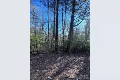 L26 Konnaneeta Trail #U03 L026, Brevard, NC 28712 - Photo 3